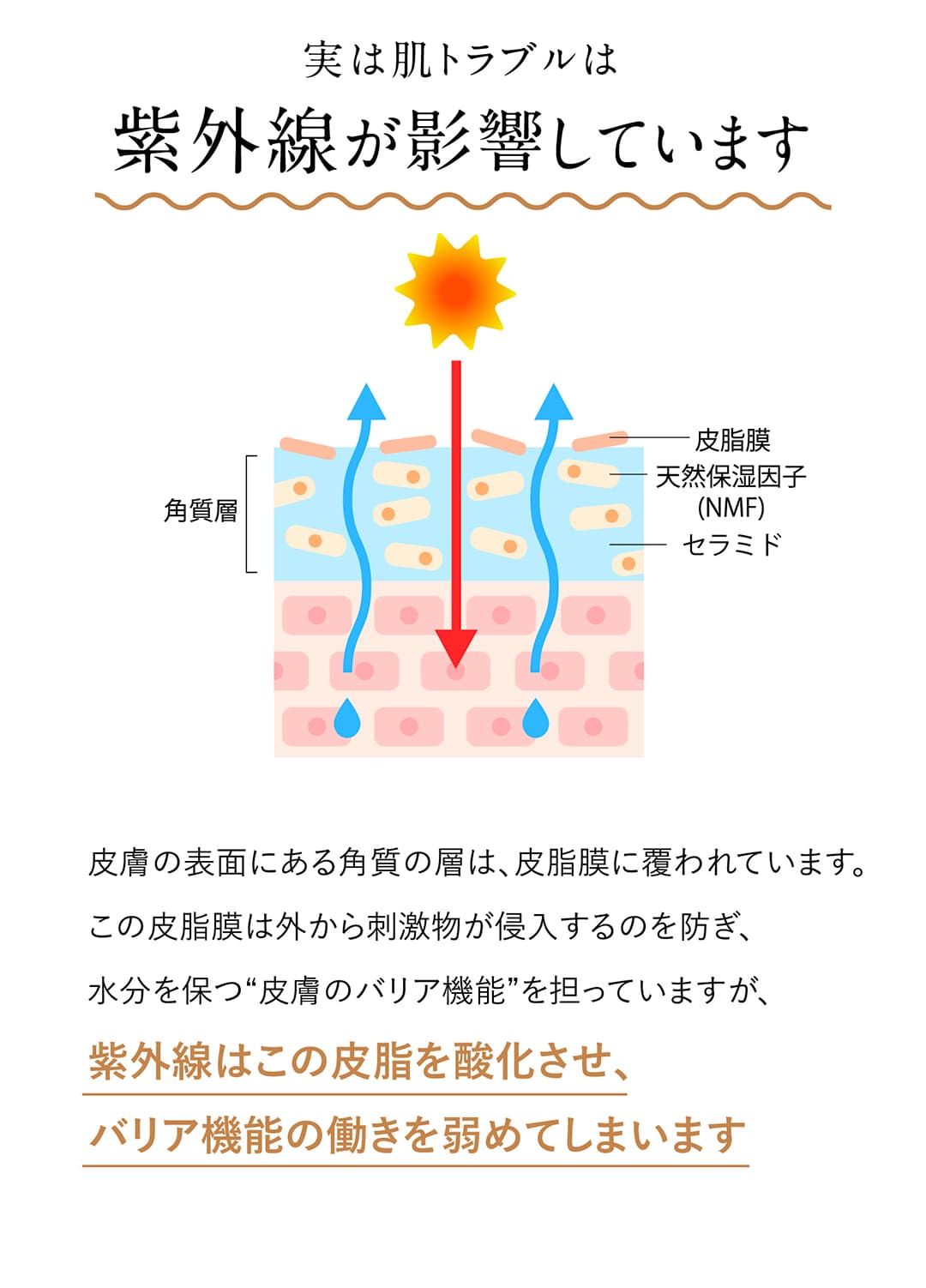 実は肌トラブルは紫外線が影響しています