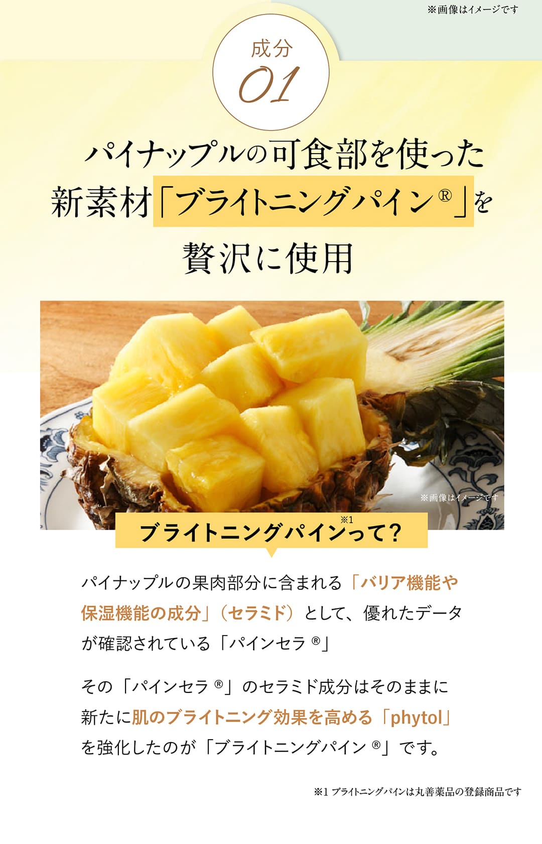 成分01パイナップルの可食部を使った新素材「ブライトニングパイン®」を贅沢に使用