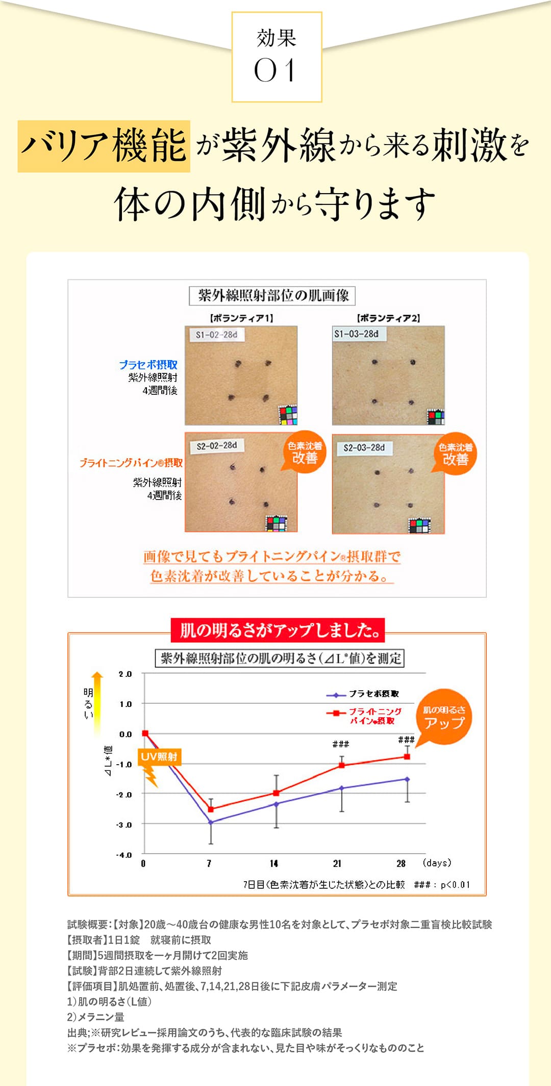 効果01バリア機能が紫外線から来る刺激を体の内側から守ります