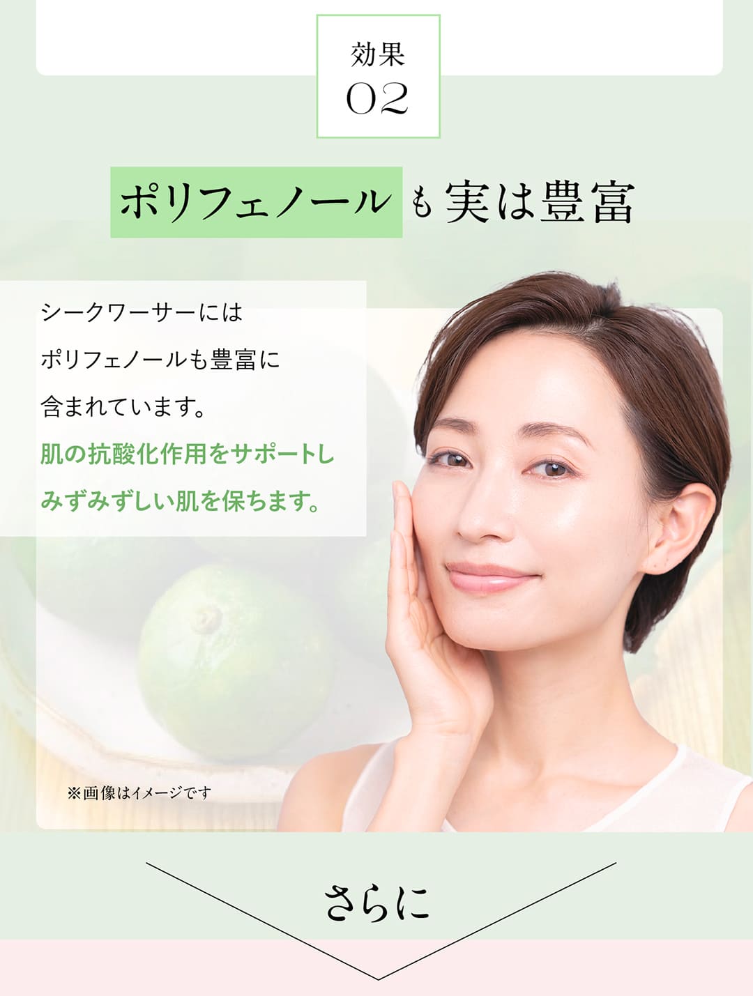 効果02ポリフェノールも実は豊富